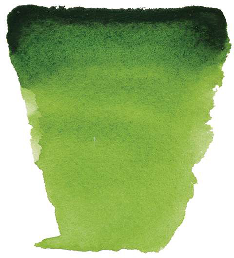 Variante colore Verde vescica 623