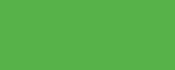 Variante colore Verde brillante 605
