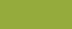 Variante colore Verde oliva chiaro 621