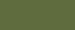 Variante colore Verde ossido di cromo 668