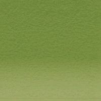 Variante colore Moss Green 5110