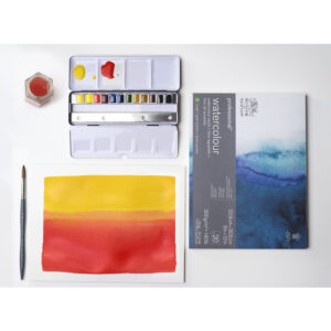 Set Acquerelli Winsor & Newton Professional Watercolor 12 mezzi godet Black Box - 2