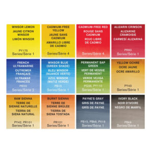 Set Acquerelli Winsor & Newton Professional Watercolor 12 mezzi godet Black Box - 4