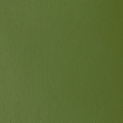 Variante colore 166 Verde ossido di cromo S2