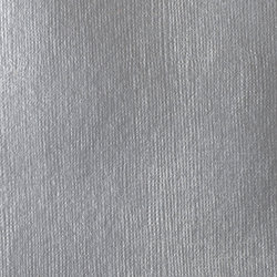 Variante colore 239 Argento ricco iridescente S2