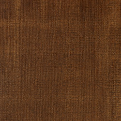 Variante colore 130 Terra d'ombra bruciata trasparente