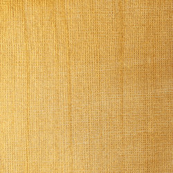 Variante colore 234 Oro brillante iridescente