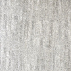 Variante colore 236 Argento brillante iridescente