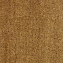 Variante colore 333 Terra d'ombra naturale trasparente