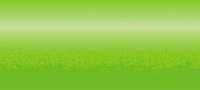 Variante colore 313 Verde Limone