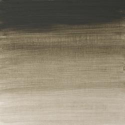 Variante colore 217 Grigio di Davy S2