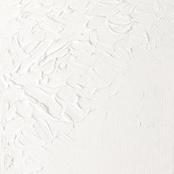 Variante colore 644 Bianco di titanio S1