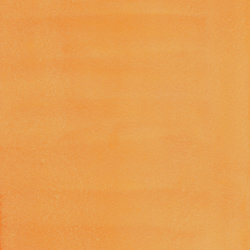 Variante colore 295 Giallo scuro