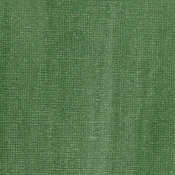 Variante colore 501 Verde tenue