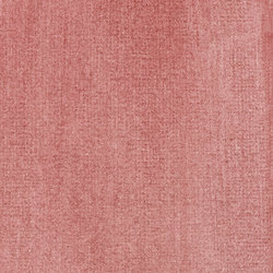 Variante colore 504 Rosa tenue