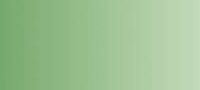 Variante colore 109 Verde chiaro