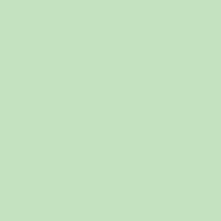 Variante colore 060 Menta