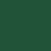 Variante colore 064 Verde