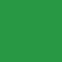 Variante colore 062 Verde chiaro