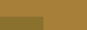 Variante colore 834 Oro chiaro iridescente S2