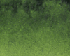 Variante colore 623 Verde vescica S2