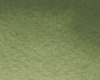 Variante colore 668 Verde ossido di cromo S2