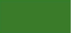 Variante colore 599 Verde vescica