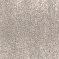 Variante colore ARGENTO - 003
