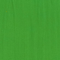 Variante colore VERDE BRILLANTE CHIARO - 304