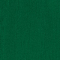 Variante colore VERDE BRILLANTE SCURO - 305