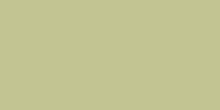 Variante colore 051 GRIGIO VERDE
