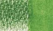 Variante colore Jungle Green 1410