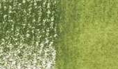 Variante colore Olivine 1340