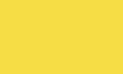 Variante colore Pantone - 107