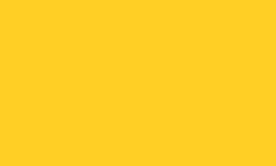 Variante colore Pantone - 109