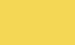 Variante colore Pantone - 114