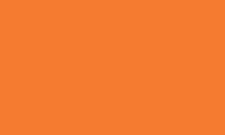 Variante colore Pantone - 1505