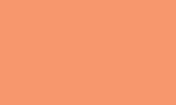 Variante colore Pantone - 1565