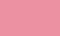 Variante colore Pantone - 197