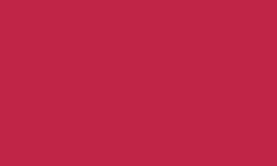 Variante colore Pantone - 200