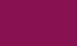 Variante colore Pantone - 221