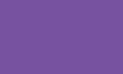 Variante colore Pantone - 2592