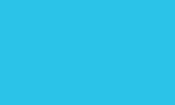 Variante colore Pantone - 2985