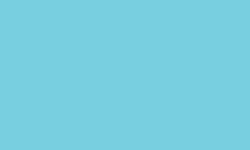 Variante colore Pantone - 304
