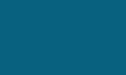 Variante colore Pantone - 308