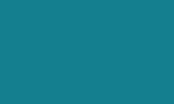 Variante colore Pantone - 3145