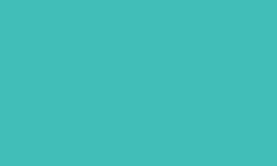 Variante colore Pantone - 3255