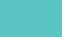 Variante colore Pantone - 325