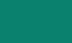 Variante colore Pantone - 3295