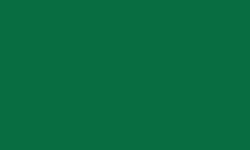 Variante colore Pantone - 349